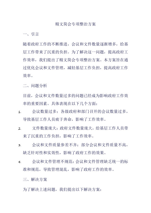 精文简会专项整治方案