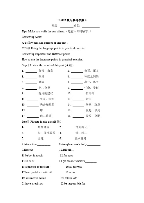 北师大版高中英语选修8 Unit23 复习参考学案2