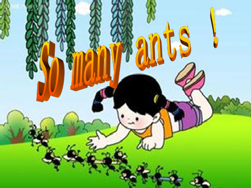 三年级下册英语课件-Lesson  W  So many ants !∣川教版(三年级起点) (共22张PPT)