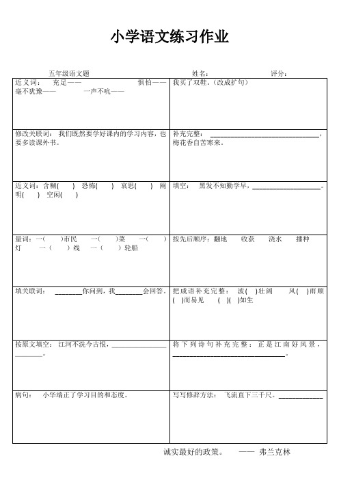 小学五年级语文精作细练II (9)