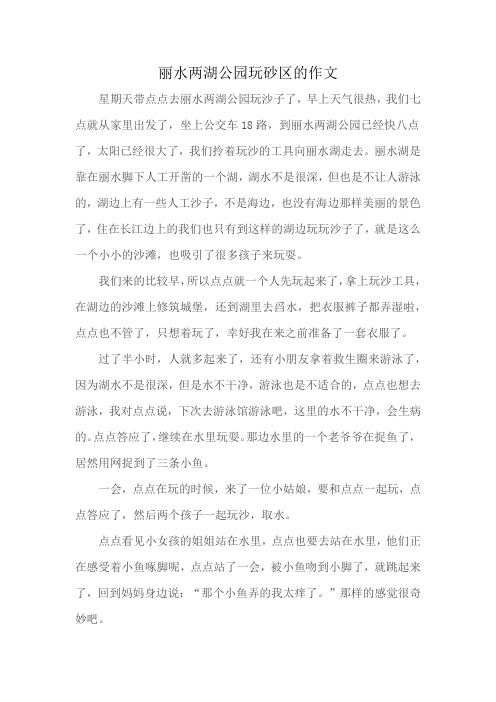 丽水两湖公园玩砂区的作文