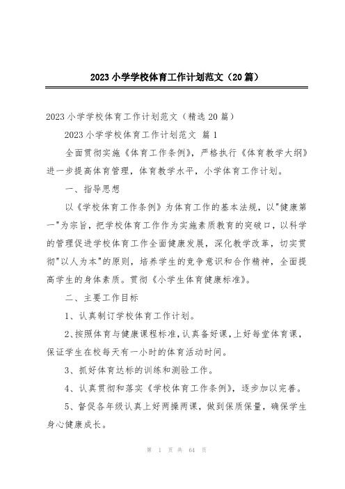 2023小学学校体育工作计划范文(20篇)