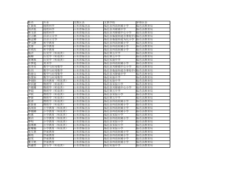 19年上半年支教总表