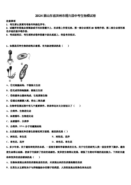 2024届山东省滨州市博兴县中考生物模试卷含解析