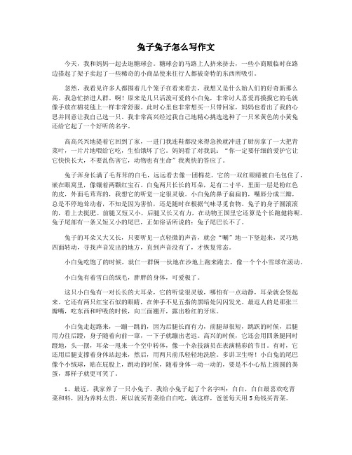 兔子兔子怎么写作文