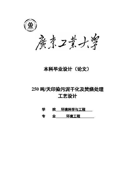 250吨每天污泥干化及焚烧处理工艺设计_毕业设计