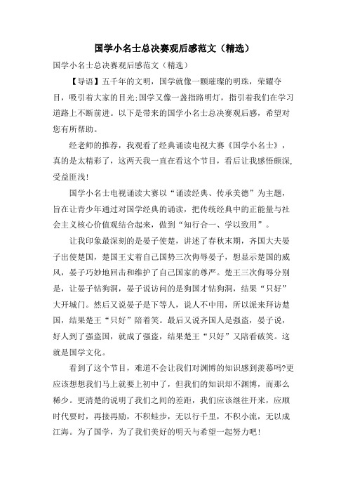 国学小名士总决赛观后感范文()