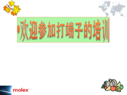 MOLEX打端子培训教材