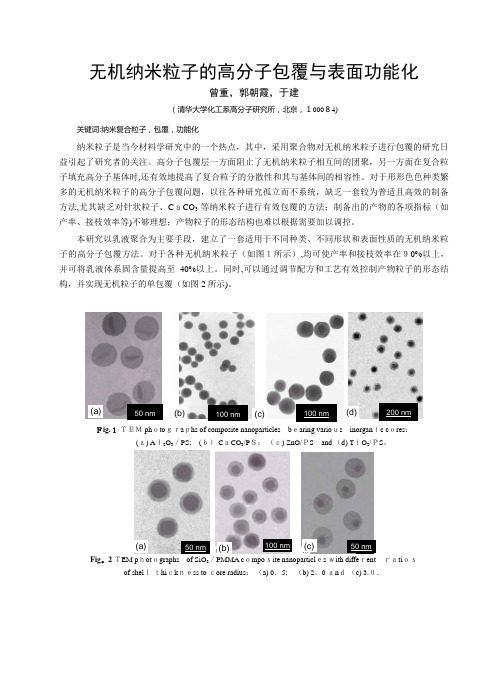 无机纳米粒子的高分子包覆与表面功能化.doc