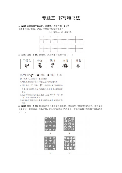 中考语文复习专题三 书写和书法