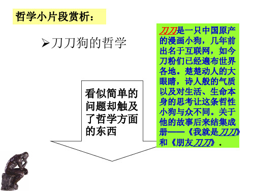 1.1.1生活处处有哲学——人教版高二政治必修四课件(共52张PPT)