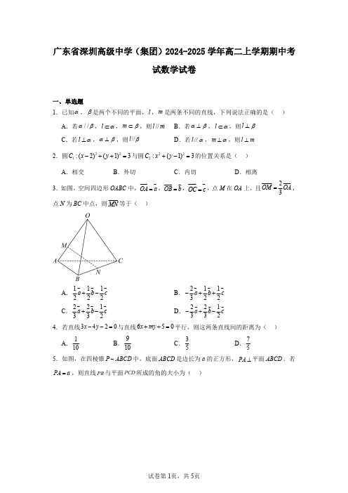 广东省深圳高级中学(集团)2024-2025学年高二上学期期中考试数学试卷