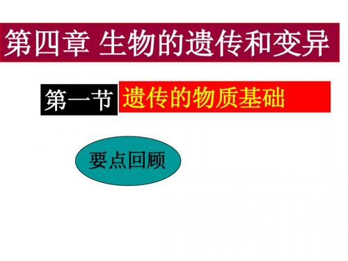 八上第四章基因第一节听写