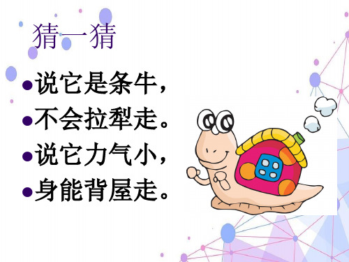 202X教科版三年级科学上册《蜗牛(一)》优质课课件.ppt