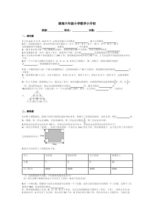 湖南六年级小学数学小升初带答案解析