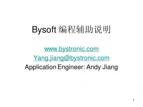 Bysoft training