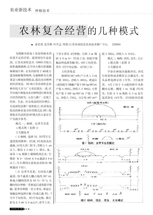 农林复合经营的几种模式