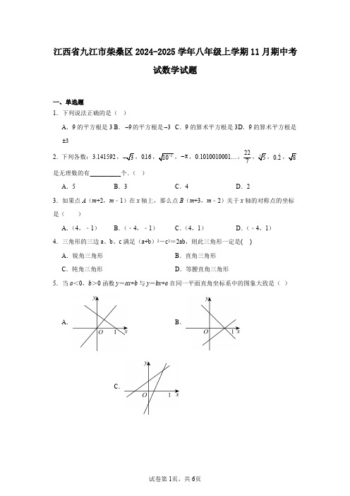 江西省九江市柴桑区2024-2025学年八年级上学期11月期中考试数学试题