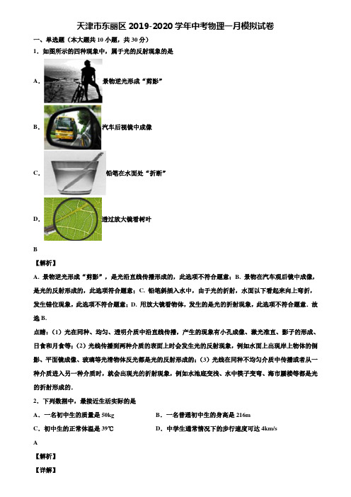 天津市东丽区2019-2020学年中考物理一月模拟试卷含解析