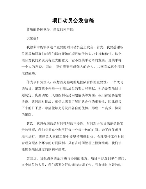 项目动员会发言稿