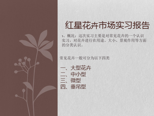 花卉市场调研