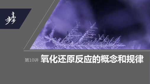 2024年高考化学一轮复习(全国版) 第2章 第10讲 氧化还原反应的概念和规律