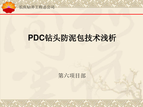 PDC钻头防泥包技术浅析