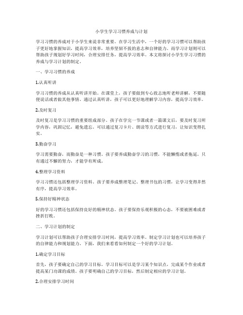 小学生学习习惯养成与计划