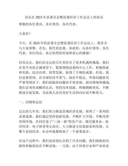 县长在2023年县委全会暨县委经济工作会议上的讲话