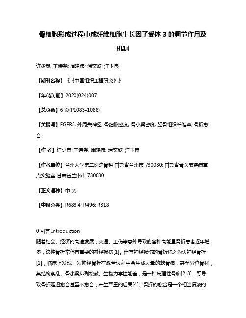 骨细胞形成过程中成纤维细胞生长因子受体3的调节作用及机制