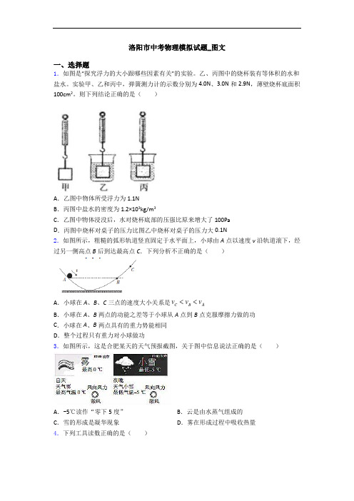 洛阳市中考物理模拟试题_图文