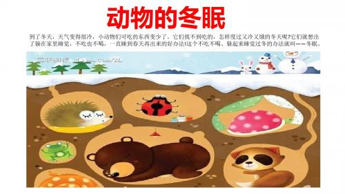动物冬眠 幼儿园ppt