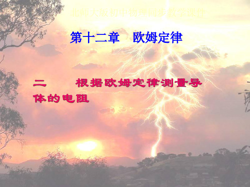 第二节：根据欧姆定律测量导体的电阻.ppt