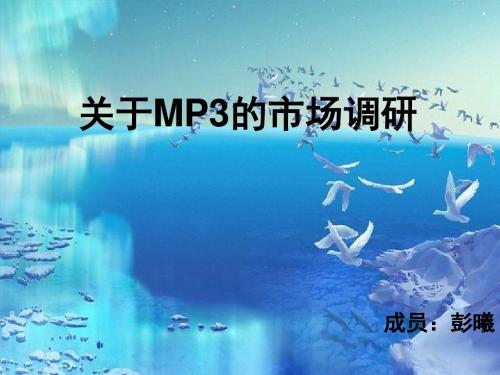 关于MP3的市场调研(ppt34张)