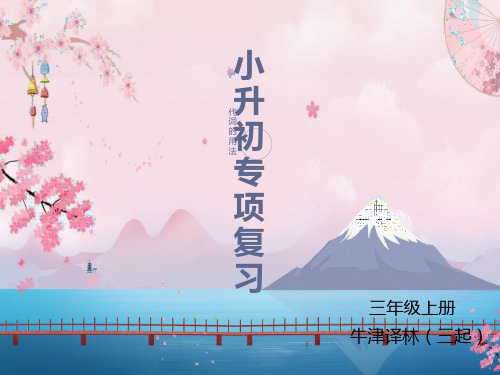 【无锡重点小学】小升初英语专题课件-代词 译林版(共23张PPT)