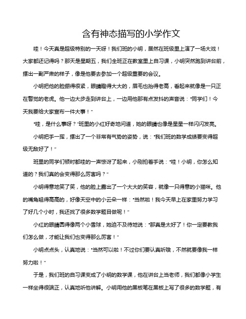 含有神态描写的小学作文