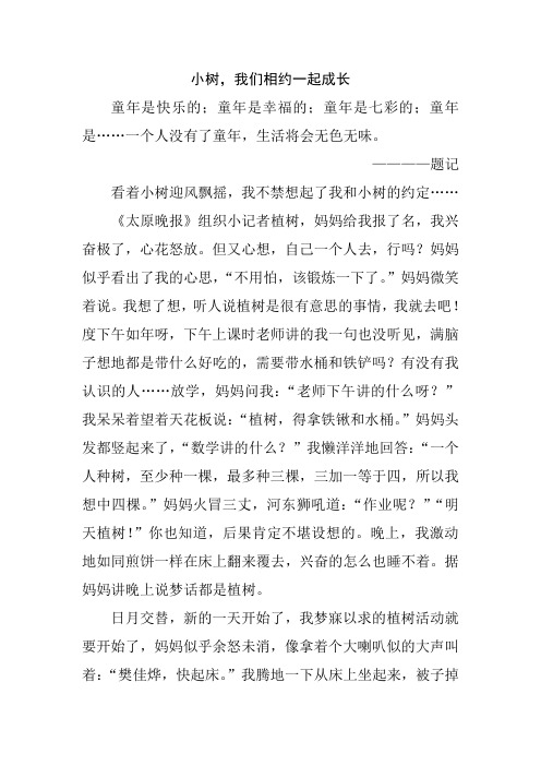 小树,我们相约一起成长