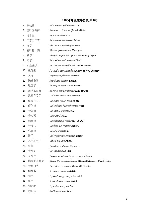 100种常见花卉名录(12)