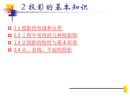 2投影的基本知识教程