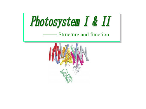 天津大学无机化学课件：photosystem II