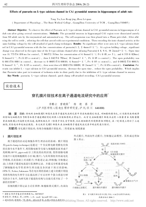 穿孔膜片钳技术在离子通道电流研究中的应用