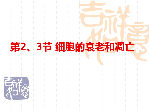 高中生物必修1《第7章细胞的分化、凋亡和衰老第3节细胞的衰老》8北师大PPT课件