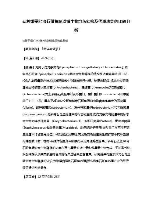 两种重要经济石斑鱼肠道微生物群落结构及代谢功能的比较分析