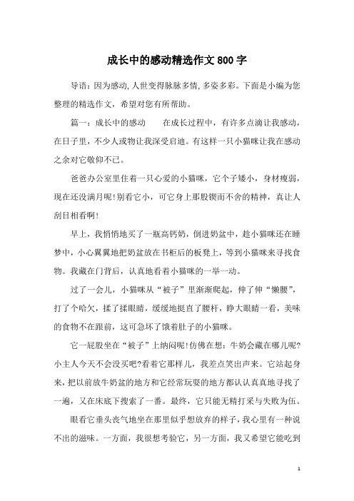 成长中的感动精选作文800字