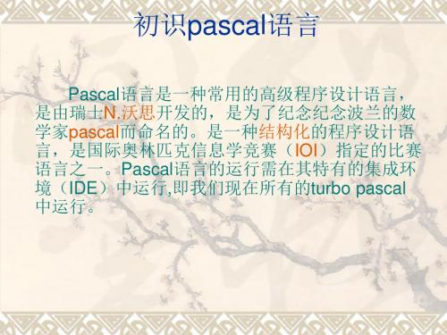 初识pascal语言