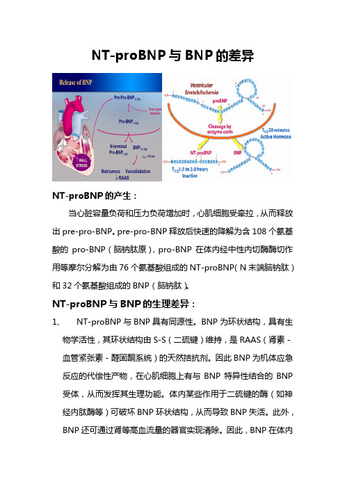 NT-proBNP与BNP差异