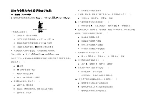 高考化学一轮复习 高炉炼考点精练试题