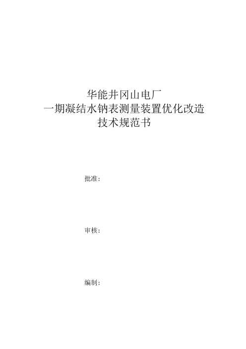 华能井冈山电厂一期凝结水钠表测量装置优化改造技术规范书