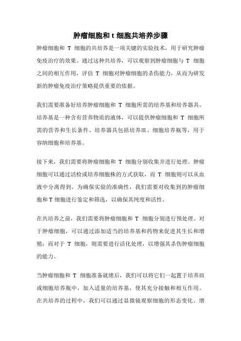 肿瘤细胞和t细胞共培养步骤