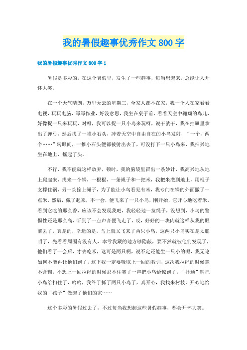 我的暑假趣事优秀作文800字